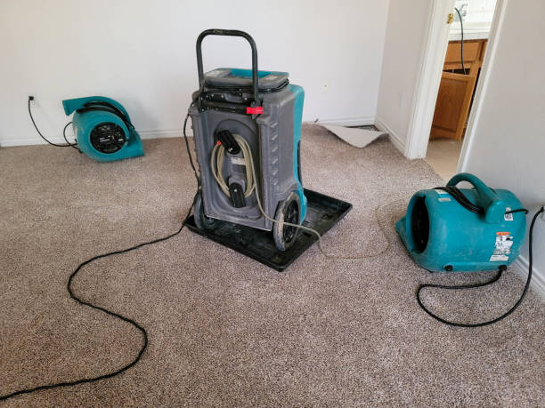 Best Emergency water damage restoration  in St Joseph, MI