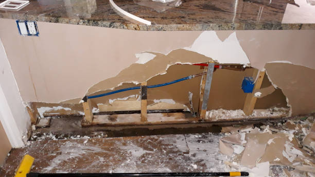 Best Sewage cleanup and water damage restoration  in St Joseph, MI