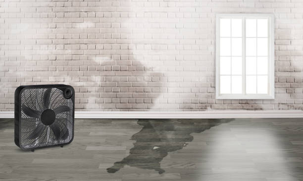 Best Flood restoration services  in St Joseph, MI