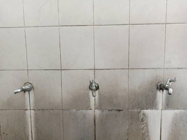Best Residential water damage restoration  in St Joseph, MI