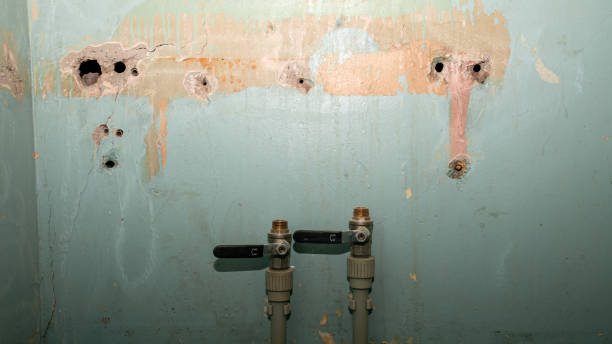 Best Emergency water damage restoration  in St Joseph, MI